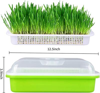 China Light Transmitting Seed Sprout Tray Seed Germination Box Flexible for sale