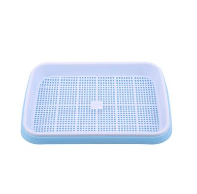 Cina lunghezza Bean Sprout Growing Tray Two Tray Sprouter No Leakage di 31cm in vendita