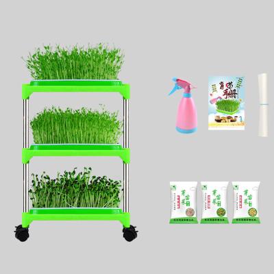 China Indoor Pp  Hydroponic Seedling Tray Stand For Family Corrosion Resistant for sale