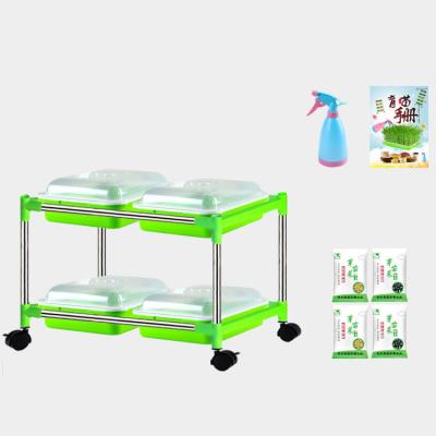 China SGS Food Grade Vegetable Moisturizing Seedling Tray Stand For Nursery for sale