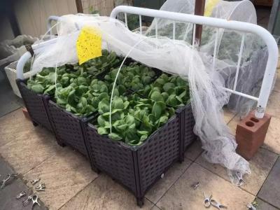 China Garden Bed Garden Plastic Raised Planter Boxes Retro Rectangular for sale