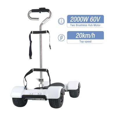 Cina 4 Wheels Electric Mobility Scooters Golf Foldable Skateboard Scooter in vendita