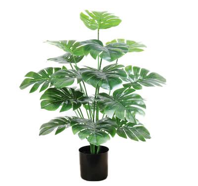 China All Season Artificial Plastic Decoration Variegata Turtle Leaf Deliciosa Tree for sale