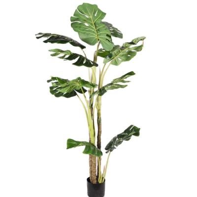 China OEM ODM Artificial Plastic Bonsai Tree Monstera Deliciosa Potted Plant for sale