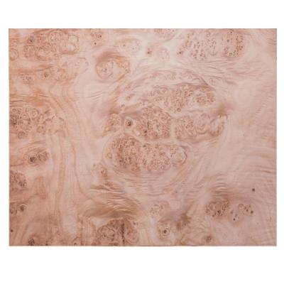 China Furniture Mappa Burl Veneer 0.6mm Natural Wood Veneer For Cabinet And Furniture for sale