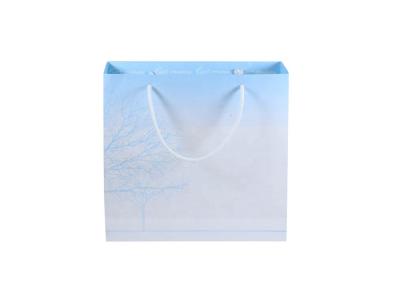 China Exquisite Custom Printed Carrier Bags , Logo Paper Gift Bags With Handles for sale