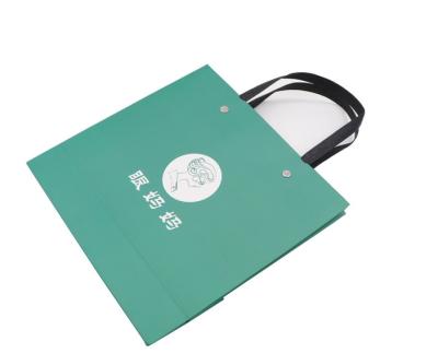 China Beautiful Custom Printed Paper Bags Heavy - Duty Accurate Printing Fsc Approved for sale