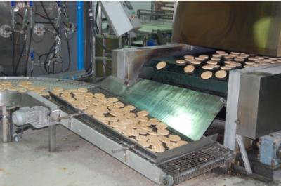China Linha de produção do pão árabe de Full Auto largura da correia de 850 milímetros com sistema de cobertura da massa à venda
