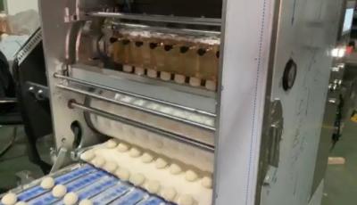 China Traditionele Automatische die Tortillamachine door PLC van het Verdelen van het Rond maken en het Drukken van Type wordt gecontroleerd Te koop