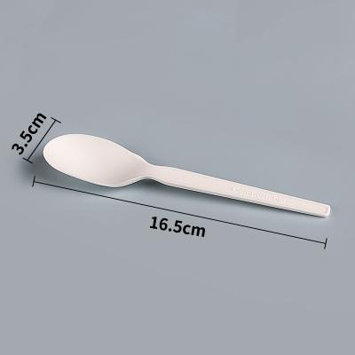China Compostable Disposable PLA Bioplastic Spoons Bulk Utensils 5.7 Inch for sale
