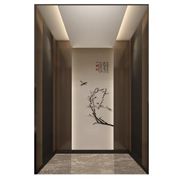 China Safe Home Villa Elevator Optional Traction Type Gantry Frame Home Elevator for sale