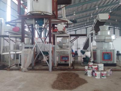 China Línea de producción de pellets de madera de aserradura Planta de molino de pellets de potencia de motor personalizada en venta