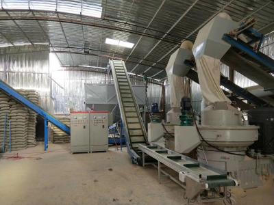 Chine Machine à granulés industriels avec anneau fabricant de granulés pour poêle à granulés à vendre