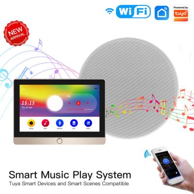 China Tuya Smart Home Security Background Music System Wall Amplifier Central Control Panel for sale