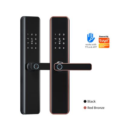China Cerradura de puerta elegante biométrica de Wifi con la cerradura de puerta de Keyless Entry de la manija con la huella dactilar en venta