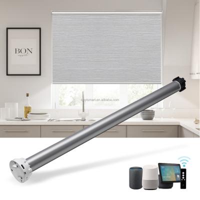 China Hard Wired 12V DC 2 Wire Smart Curtain Motor Electric Roller Blind/Shade Tubular Motor Kit for sale