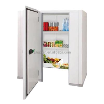 China Customized Size Walk In Cold Room Restaurant Use Big Size Refrigerator Equipment Meat Storage Cold Room en venta