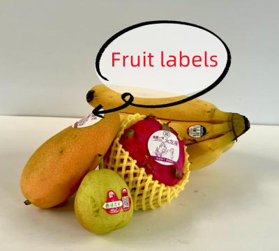 Cina etichette impermeabili per barattoli Etichette QR personalizzate Etichette alimentari stampabili Adesivi in vendita