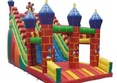 China Eco - Friendly Colorful Adult Inflatable Slide PVC Tarpaulin Material For Theme Park for sale