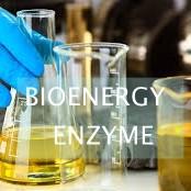 China ISO Lipase Catalyzed Conversion Of Waste Cooking Oil Into Biodiesel for sale