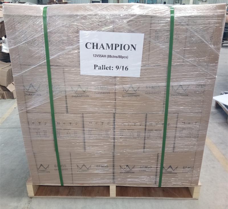 確認済みの中国サプライヤー - Champion Storage Battery Company Limited
