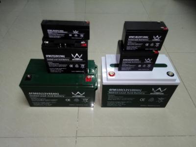 China Lighting 2.8ah sealed type security 6V Lead Acid Battery lightweight , CE UL for sale
