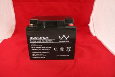 China High Safety 12v Deep Cycle Marine Battery / Sealed Deep Cycle Battery 42AH for sale