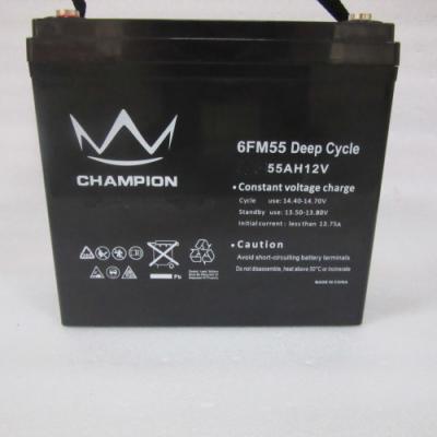 China 12v 55ah Rechargeable Agm UPS Lead Acid Battery M6 Terminal for sale