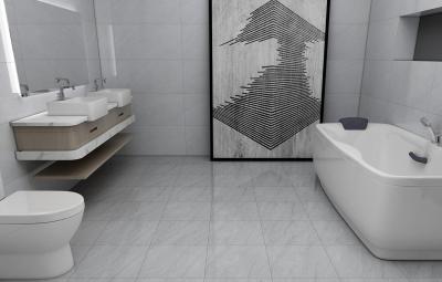 Cina 3~6% Water Absorption Rustic Ceramic Tile Cooking Gray Indoor Floor Glossy Glazed Matt in vendita