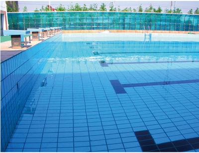 China piscina interior al aire libre de cerámica 6m m de las tejas de mosaico de la piscina de 24kg/ctn 115x240m m en venta