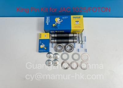 China MAMUR King Pin Kit For JAC 1025 FOTON BJ1041 SCBJ-3001300D8 JAC Spare Parts for sale