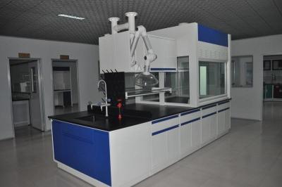 China CE certificated Benchtop Type Lab Fume Cabinet Table Top All Steel Laboratory Fume Hood for sale