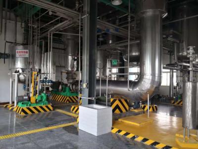Chine CE de cristallisation de vaporisateur de MVR de chlorure de sodium 12T/H à vendre