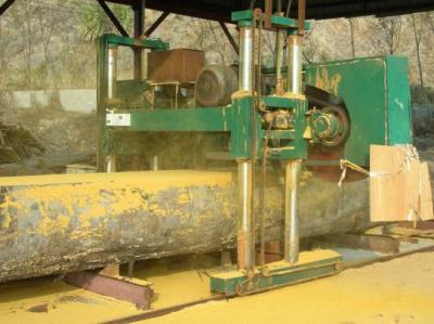 China MJ2500 Large horizontal sawmill with sawing diameter of 2500mm for sale