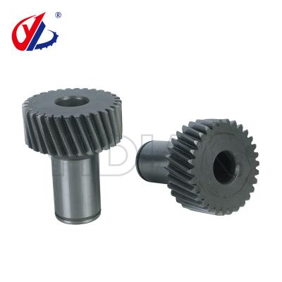 China Spare Parts For Homag Woodworking Machine 2-031-95-6510 Left Drive Gear Wheel for sale