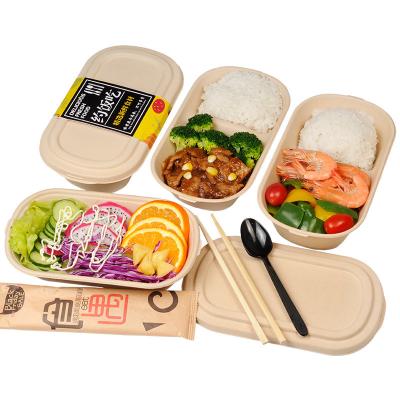 China 100% Composteerbare Voedselcontainer Suikerriet Lunchbox Bamboe Opbergdozen & Bakken Milieuvriendelijk Multifunctioneel Te koop