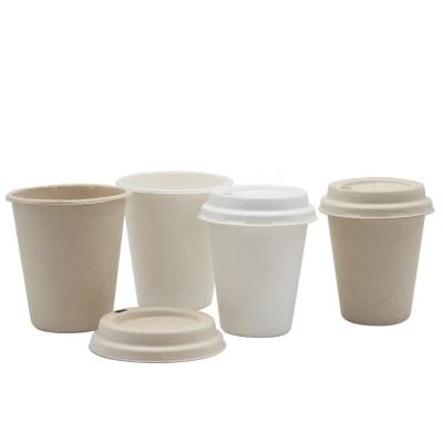 China Biodegradable Sugarcane Bagasse Cups Disposable Fiber Pulp Cup 12oz Take Out for sale