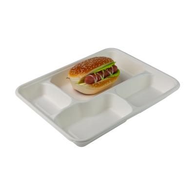 China Takeaway Biodegradable Clamshell Boxes , Divided Disposable Bento Box With Lid for sale