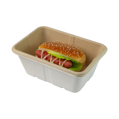 China Disposable Pulp Food Containers Take Away Lunch Box Sugarcane Bagasse Biodegradable for sale