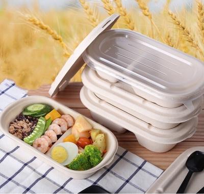 China 100% Compostable Disposable Eco Packaging Food Grade Sugarcane Pulp Lunch Box for sale