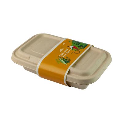 China Biodegradable Sugarcane Bagasse Food Container Fast Food Take Away Bamboo Reed for sale
