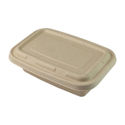 China Disposable Biodegradable Sugarcane Bagasse Food Container Set Rectangle for sale