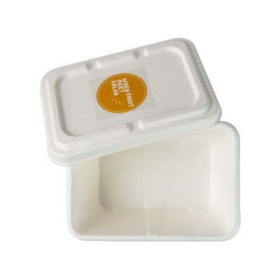 China Biodegradable Embossing Sugarcane Bagasse Food Container Microwavable Disposable for sale