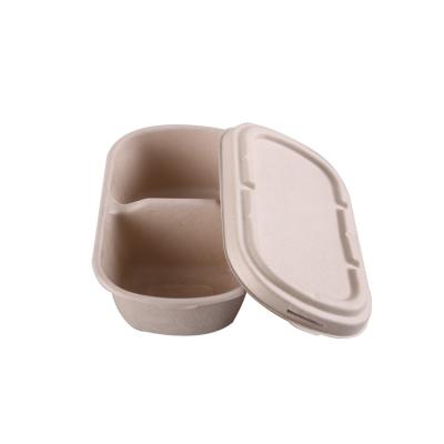 China Sugarcane Bagasse Food Container Lunch Food  Bagasse Take Out Refrigerator for sale