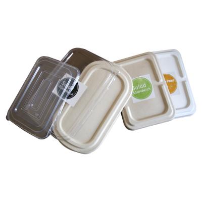 China Custom Bagasse Wheat Paper Pulp Storage Box , Biodegradable Sensory Tray for sale