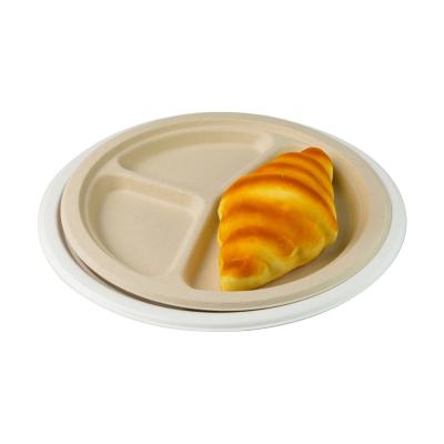 China Disposable 10 Inch Compostable Biodegradable Sugarcane Bagasse Plates for sale
