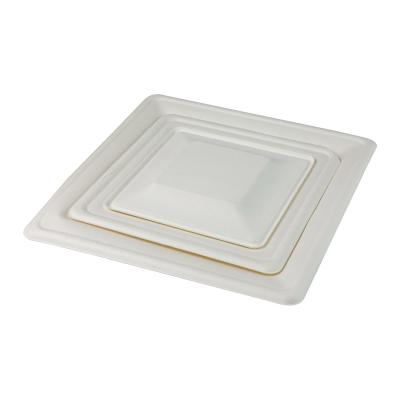 China Disposable Dinner Biodegradable Sugarcane Bagasse Plates Tableware Paper for sale