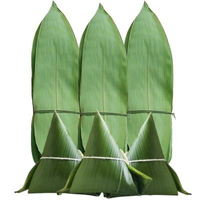 China 5-7cm Plate Decorative Accessory Vacuum Packed Fresh Bamboo Leaves for Sashimi for sale