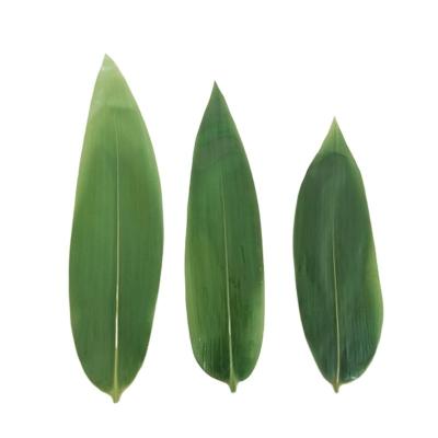 China Plates Decorative Green Fresh Packed Sushi Bamboo Leaves 15-30cm for sale