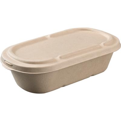 China Sugarcane Bagasse Salad Fruit Take Away Food Containers Biodegradable for sale